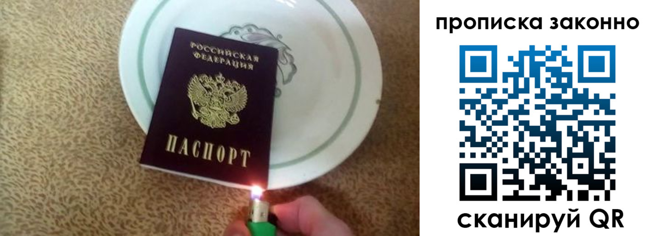 прописка поиск в Клинцах